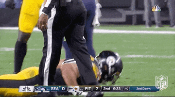Push Up Pittsburgh Steelers GIF by NFL