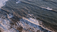 World Oceans Day Gifs Get The Best Gif On Giphy World Oceans Day Gifs Get The Best Gif On Giphy