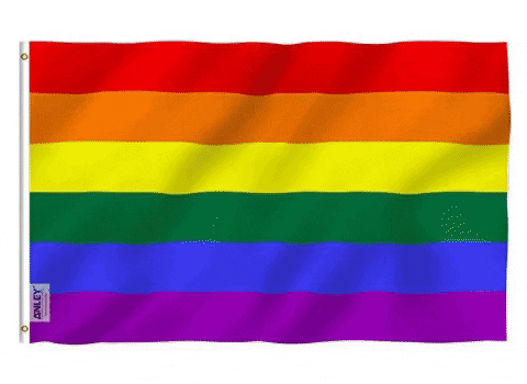 Gay Pride Rainbow GIF by LGBTQ Youth