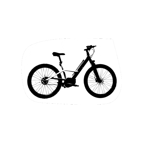 Benjamin Radior Bike Sticker
