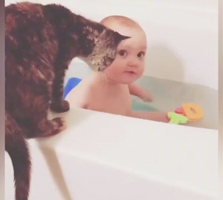 Come Here Kitty GIF - Find & Share on GIPHY