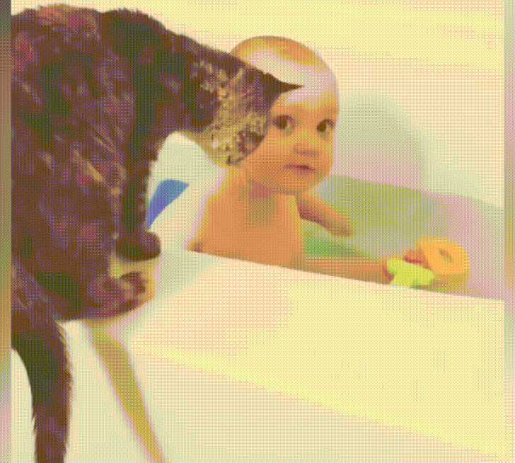 giphy.gif?cid=790b761142294f80c0a38a1e91