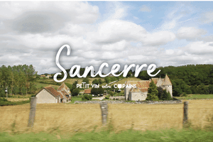 Wine Sancerre GIF