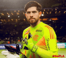 Flamengo GIF