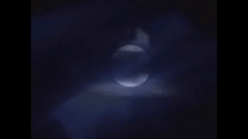 moimoi  GIF