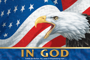 American Flag Eagle GIF