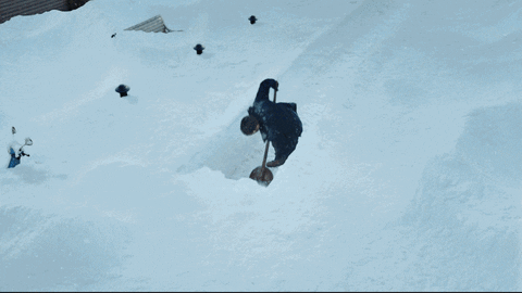 peroni beer winter thank you gif