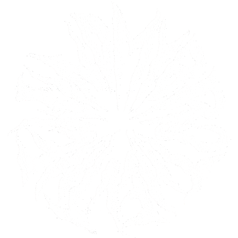 Horror Ghost Sticker by Drowned By Locals