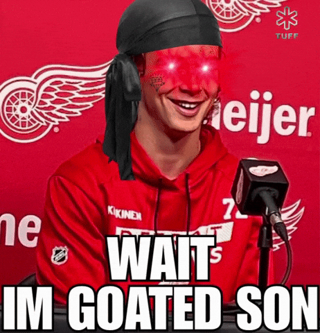 Red Wings Nhl GIF