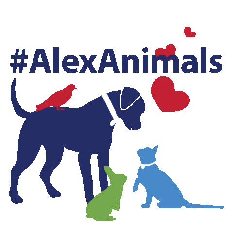 Pets Sticker by Animal Welfare League of Alexandria