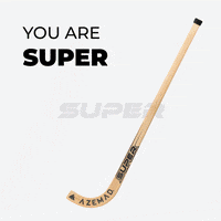 Hockey Stick GIF by AZEMAD Sport