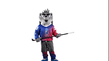 Sport Mascot GIF by FinHockey