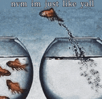 Fish GIF