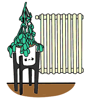 Plant Heating GIF by feey.pflanzen