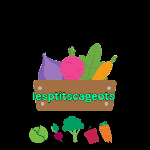 lesptitscageots vegetables legumes crate lesptitscageots GIF