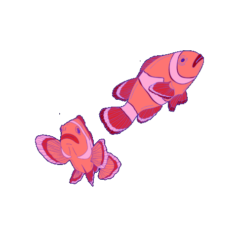 Fish Anemone Sticker by DEICHBRAND Festival