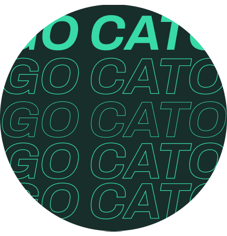 Cato Networks Sticker