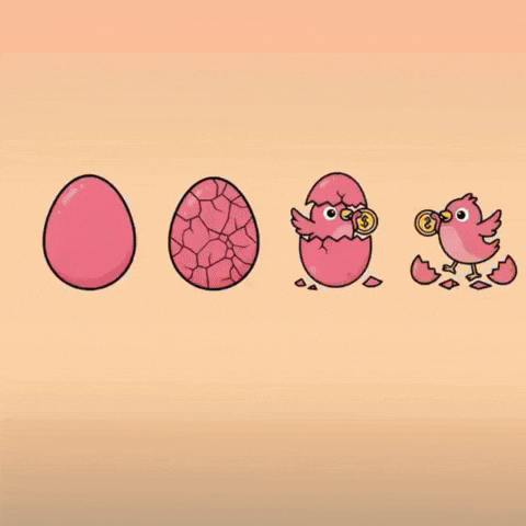 Pink Chicken GIF by Chicksstarter