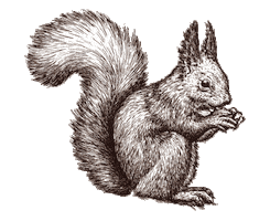 Das Oachkatzl Sticker