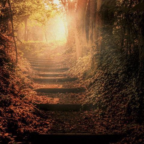 Effective VIbes GIF