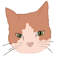 iriskristen cat face kitty kitten Sticker