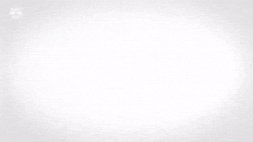 Celebrate Red Bull GIF by FC Red Bull Salzburg