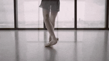 Dance Ballet GIF