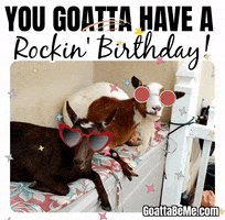 happy birthday goat gif