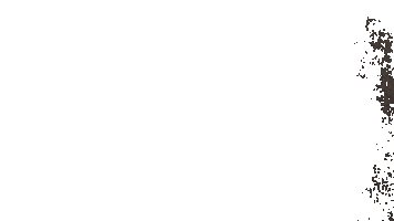 Odontologo Sticker