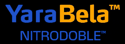 GIF by Yara Argentina