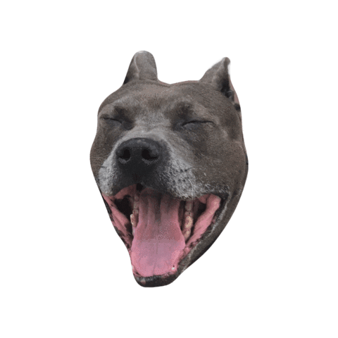 Sticker by Steele House Nutrition