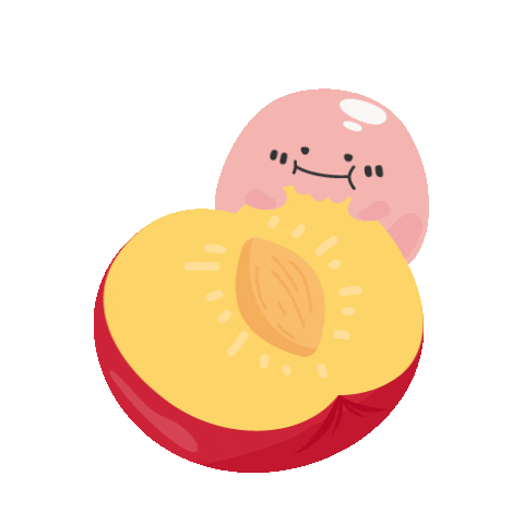 Fruit Plum Sticker
