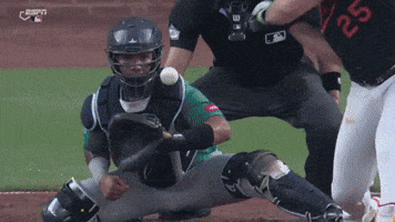 Home Run Celebration GIF by MLB