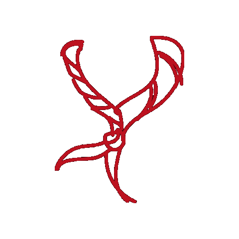 Scout Scoutisme Sticker by EEDF Officiel