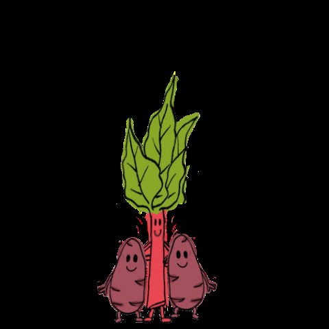 Soft Dicks GIFs - Get the best GIF on GIPHY