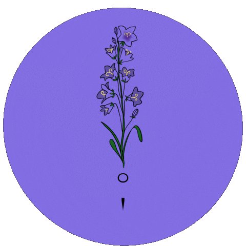 Kytka Vole Sticker