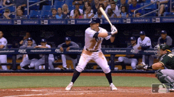 sport flip GIF by MLB