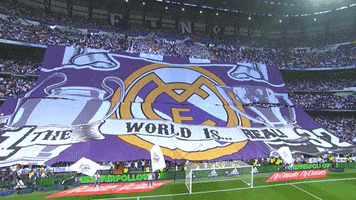 La Liga Soccer GIF by Real Madrid