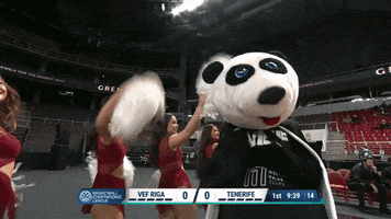 Fun Panda GIF by Basketball Champions League