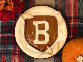 Bradley Braves Thanksgiving GIF by Bradley University