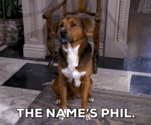 Talking Dog GIFs - Get the best GIF on GIPHY