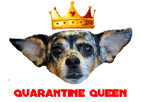 Dog Love Sticker by Gizmo & Friends