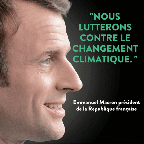 Politics Macron GIF by Stop Fake Renewables