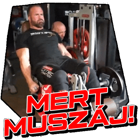 Kathibéla Sticker by Scitec Nutrition