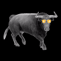 Bull GIF by labitcoineta