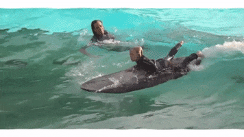 les Sommets GIF