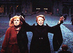 harry potter the deathly hollows GIF