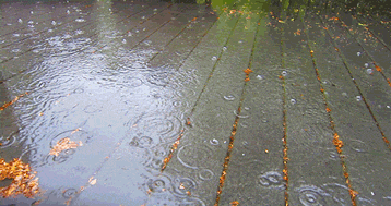 rain raining GIF