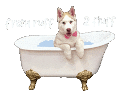 Dog Spa Sticker by VelvetDoorSpa