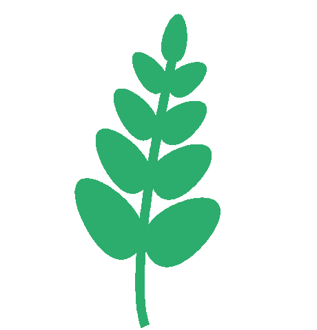 Summer Leaf Sticker by Medalgo